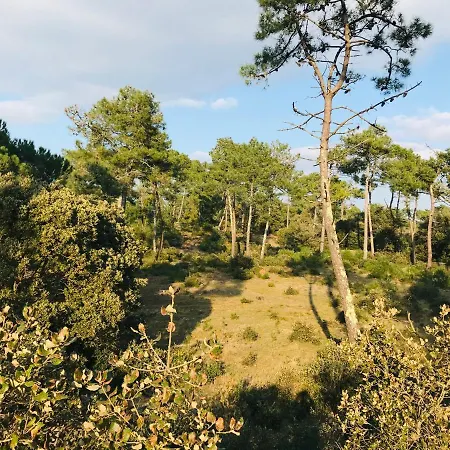 Maison Du Bois Martineau, Foret Et Standing