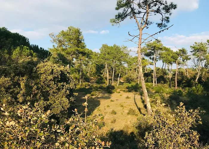 Maison Du Bois Martineau, Foret Et Standing